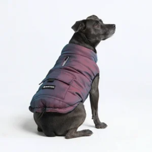 jacket for dogs in colder weather