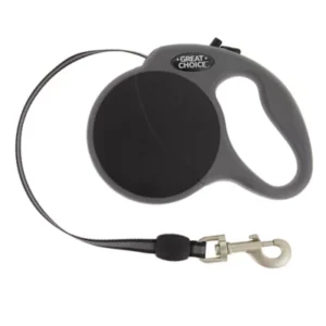 retractable leash wit handle