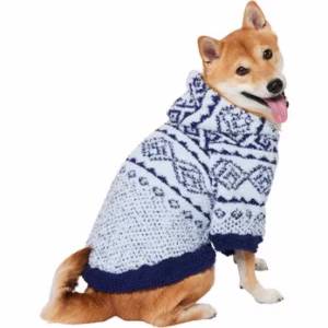 blue sweater for dog