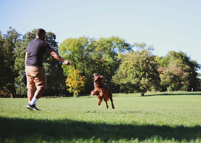 A man enjoys a sunny day playing fetch with his dog in a lush, green park.