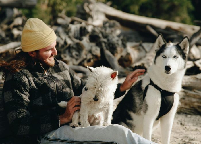 Casual portrait of a man sitting on the beach with a husky and terrier amidst driftwood.